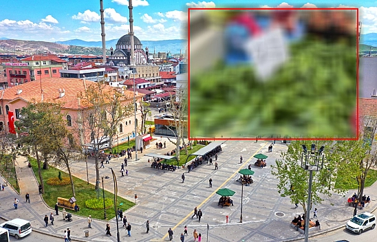 Elazığ'da fiyatı çakıldı vatandaşlar kilolarca aldı