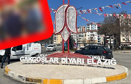 Elazığ'da fiyatı düştü vatandaşlar tezgaha akın etti