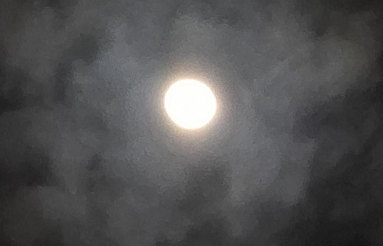 Elazığ'da gece şöleni