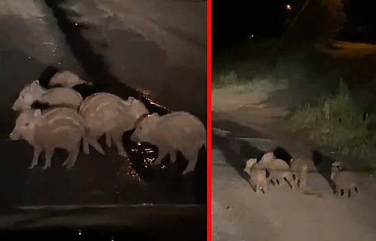 Elazığ'da gece yarısı yola indiler! O anlar kamerada