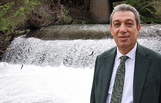 Elazığ'da görsel şölen! Siraz balıkları akıntıya karşı göç ediyor