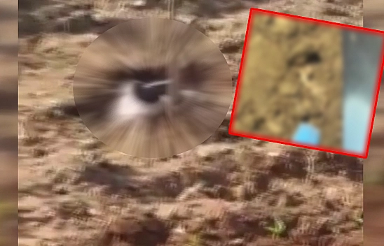 Elazığ'da görüldü! 2 metre boyu görenleri tedirgin etti: Görülmeleri neye işaret?