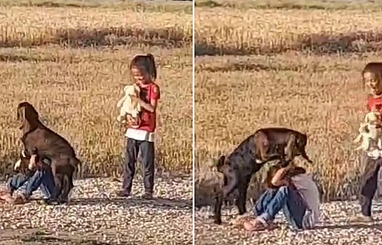 Elazığ'da Gülümseten Anlar