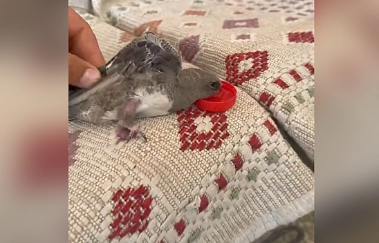 Elazığ'da gülümseten anlar