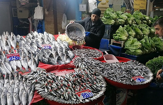 Elazığ'da Güncel Balık Fiyatları