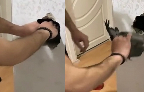 Elazığ'da Güvercini Kurtarmak İçin Operasyon Düzenlendi