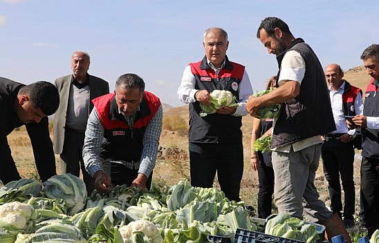 Elazığ'da hasat başladı!