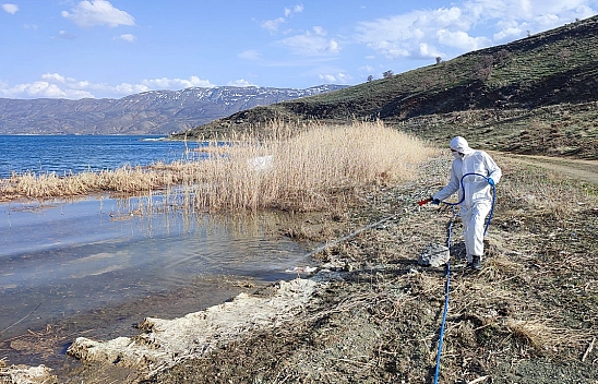 Elazığ'da haşere mücadelesi sürüyor