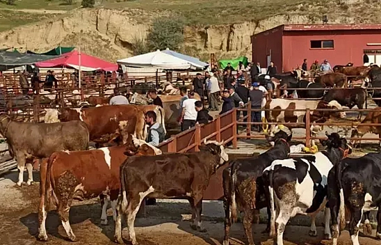 Elazığ'da hayvan pazarları ikinci bir emre kadar kapatıldı