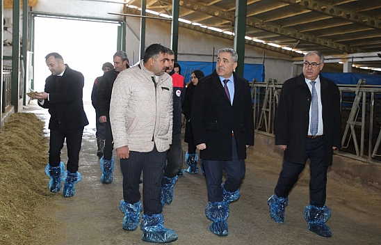Elazığ'da hayvancılık altyapısı yerinde incelendi