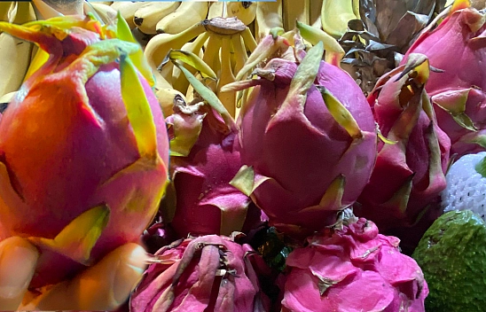 Elazığ'da hem şekli hem de fiyatı ile şaşırtan meyve: Tanesi 60 liradan satılıyor