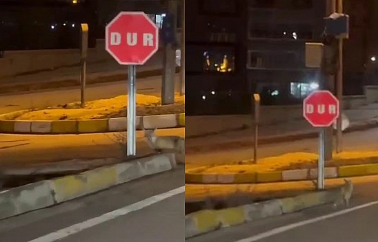 Elazığ'da Her An Her Şey Karşınıza Çıkabilir