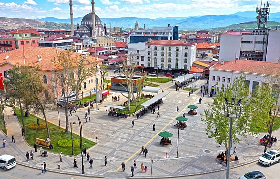 Elazığ'da Her Bahçenin Vazgeçilmezi Artık Adet Olarak Alınıyor