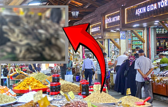 Elazığ'da herkes onu topluyor: Tezgahta fiyatı 200 lira!