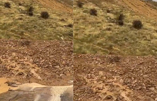 Elazığ'da heyelan paniği