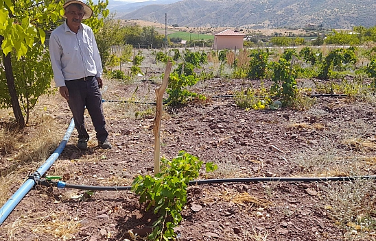 Elazığ'da Hibe Desteğinde  Tarih Muamması, Yüzlerce Çiftçi Mağdur Edildi