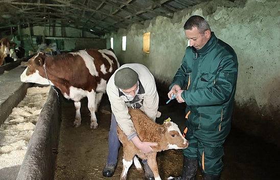 Elazığ'da ilçelerin kabusu sona erdi