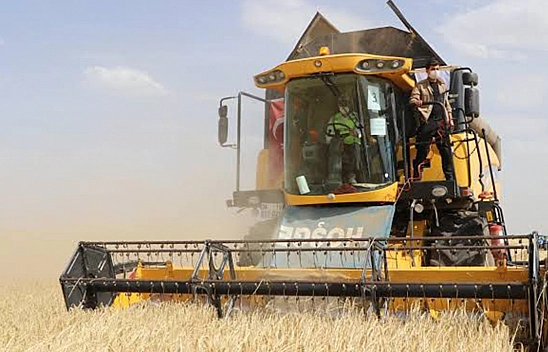 Elazığ'da ilk hasat buruk başladı