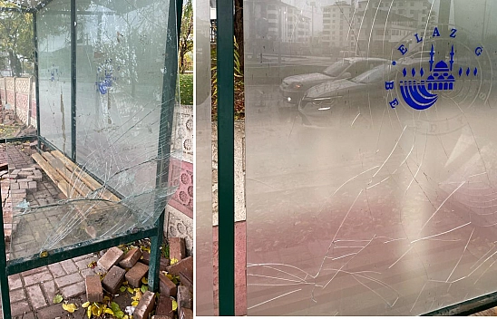 Elazığ'da İnsanlık Dışı Davranış