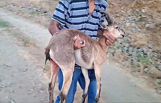 Elazığ'da insanlık ölmemiş dedirten davranış