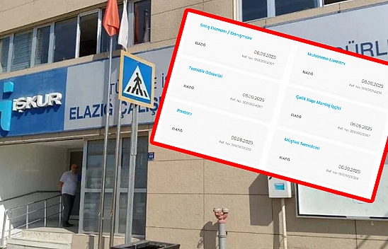 Elazığ'da iş arayanlar için fırsat kapısı açıldı! 243 istihdam edilecek