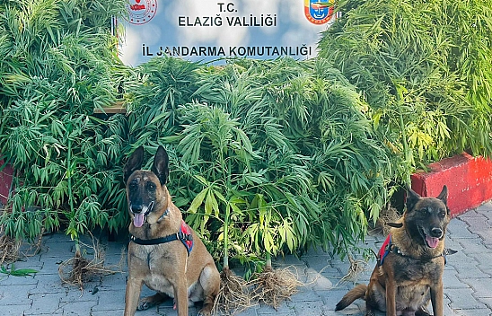 Elazığ'da Jandarmadan uyuşturucu tacirlerine operasyon