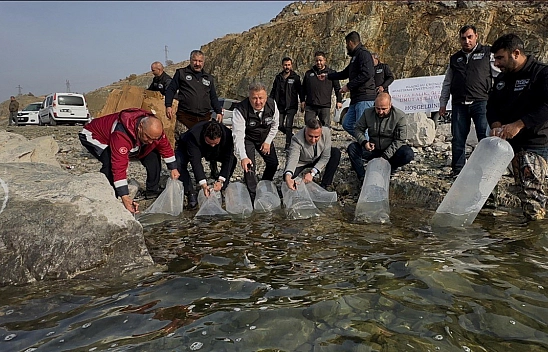 Elazığ'da Karakaya Baraj Gölü'ne 420 bin yavru balık bırakıldı