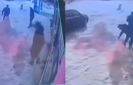 Elazığ'da kardan adama ilginç saldırı: Tekmelediler, kafa attılar