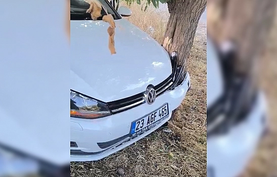 Elazığ'da kaza: 2 Yaralı