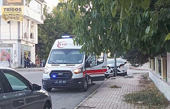 Elazığ'da kaza: Otomobil direğe çarptı