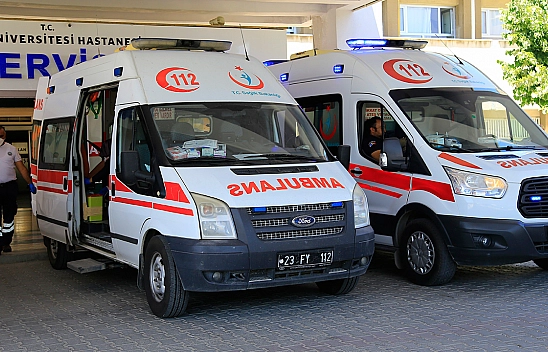 Elazığ'da kenenin ısırdığı adam hastaneye kaldırıldı