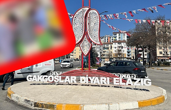 Elazığ'da kilogramı 25 liraya düşen sebze kilo kilo satın alındı