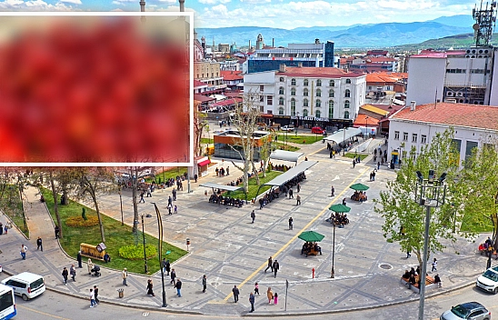 Elazığ'da kilosu 10 liraya düştü poşet poşet satıldı