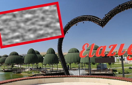 Elazığ'da kilosu 100 liradan 25 liraya düştü vatandaşlar kilo kilo aldı