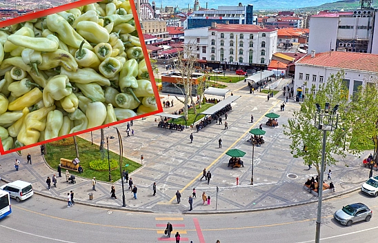 Elazığ'da kilosu 15 liraya düştü, vatandaşlar kapıştı