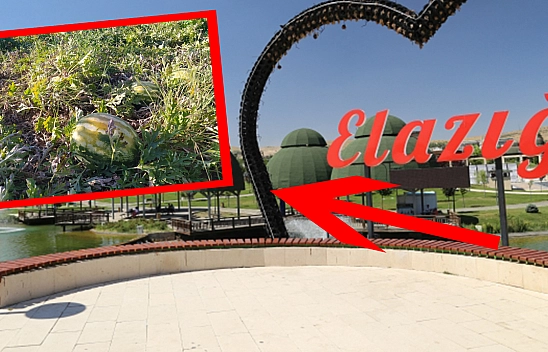 Elazığ'da Kilosu 2 Liraya Kadar Düştü: Tarlada Çürümeye Terk Ettiler!