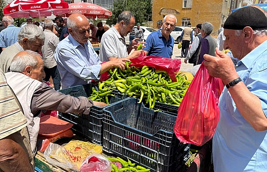 Elazığ'da kilosu 20 liraya oldu poşet poşet aldılar