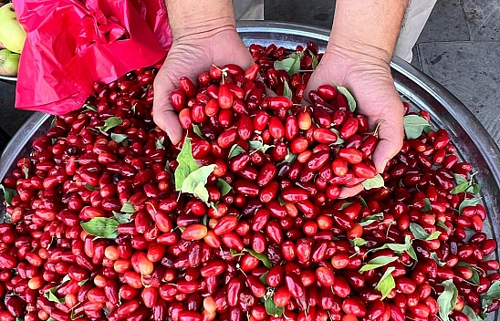 Elazığ'da Kilosu 70 Liradan Satılıyor İçinde Bütün Vitaminleri Bulunduruyor