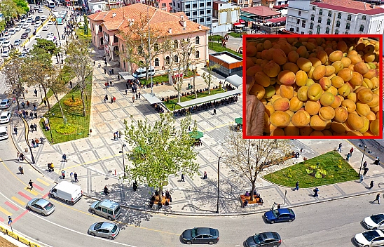 Elazığ'da kilosu 75 liradan satıldı poşet poşet alındı