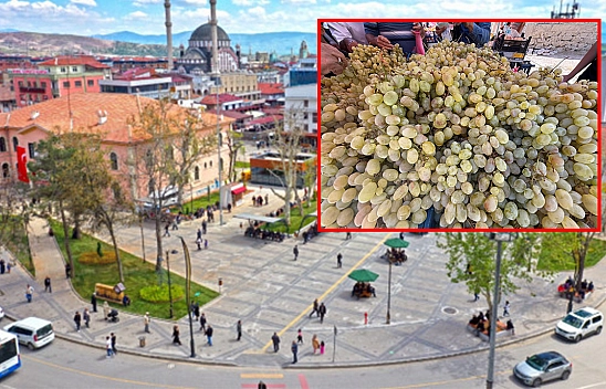 Elazığ'da kilosu 75 liradan satıldı poşet poşet alındı