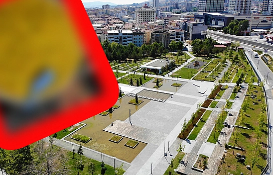 Elazığ'da kırsal alanda kendiliğinden yetişen şifa