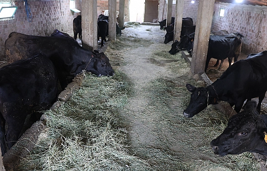 Elazığ'da 'Kırsalda Bereket' projesi ilk sonuçlarını verdi