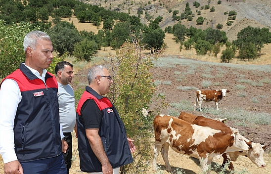 Elazığ'da kırsalda bereket projesi üreticilere destek oluyor