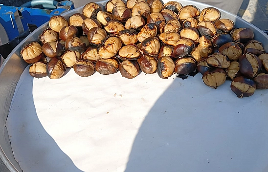 Elazığ'da kış aylarının gözdesi altınla kapışıyor!