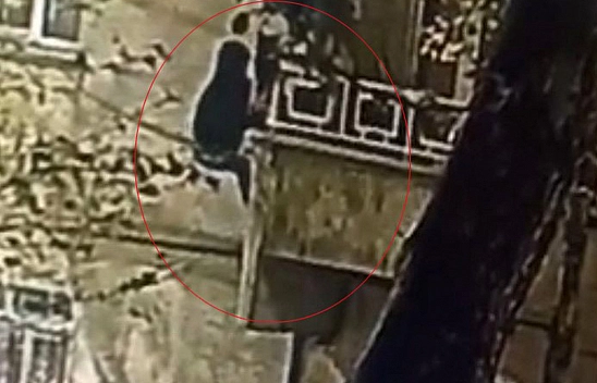 Elazığ'da korku dolu gece: Su borusuna tırmanıp eve girdi