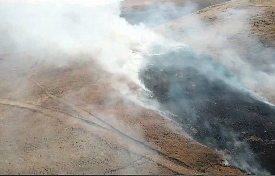 Elazığ'da Korkutan Yangın: Alevler Büyük Bir Alana Yayıldı