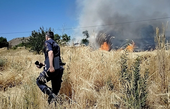 Elazığ'da korkutan yangın: Onlarca dönümlük alan kül oldu