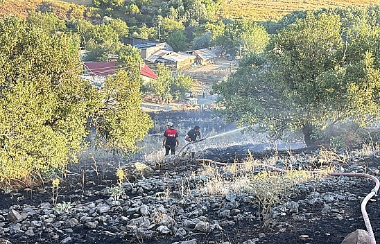 Elazığ'da korkutan yangın!