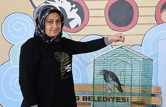 Elazığ'da 'Kübra' Diye Seslenen Papağan, Tuba'sına Kavuştu