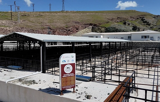 Elazığ'da kurban satış ve kesim alanında hazırlıklar başladı
